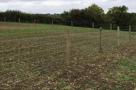 agricultural fencing for livestock field fencing